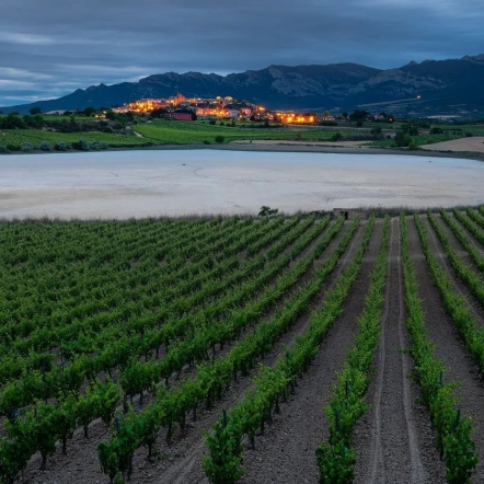 ASEFAVE solicita la ejecución de los fondos Next Generation antes de 2026