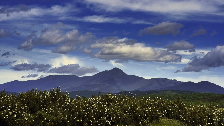 ADEL impulsó la economía rural con ayudas a asociaciones y ayuntamientos
