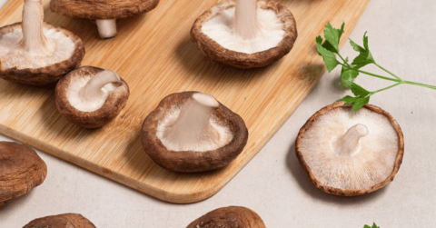 'Champiñones y setas europeas', un ingrediente, infinitas posibilidades