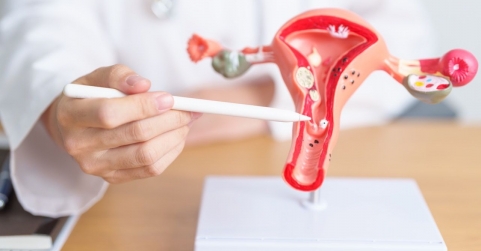 Dr. Juan Céspedes, ginecólogo de Policlínica Gipuzkoa: 