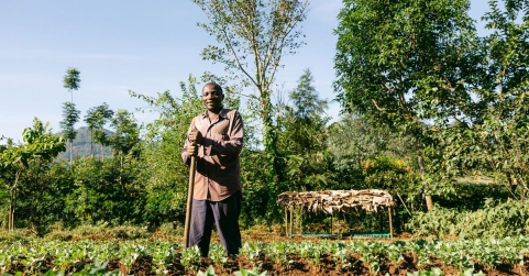 Smoking Paper contribuye a la plantación de 245.922 árboles