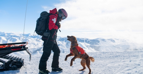 Nulo aterriza en España junto a IskayPet para revolucionar la nutrición premium para mascotas