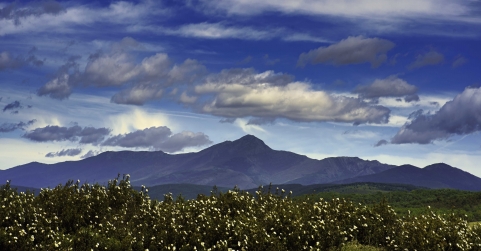 ADEL impulsó la economía rural con ayudas a asociaciones y ayuntamientos
