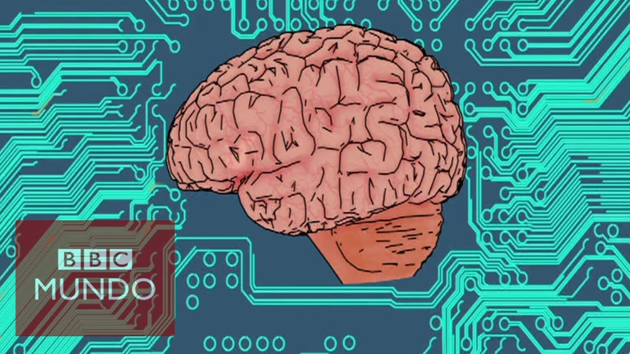 El-papel-de-las-certificaciones-en-el-sector-de-inteligencia-artificial | diario-economia.com El papel de las certificaciones en el sector de inteligencia artificial