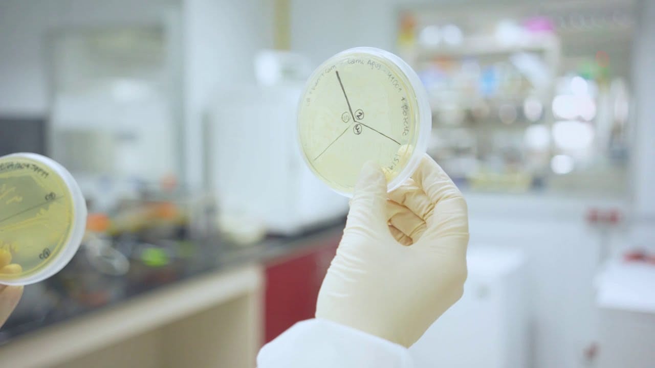 Las-tendencias-en-biotecnologia-que-los-emprendedores-deben-conocer | diario-economia.com Las tendencias en biotecnología que los emprendedores deben conocer