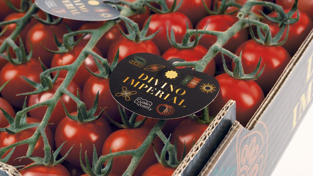 Cualin Quality Imperial - IP | diario-economia.com Cherry tomatoes on vine in a cardboard box with a black 'Divino Imperial' label on top handtag edge