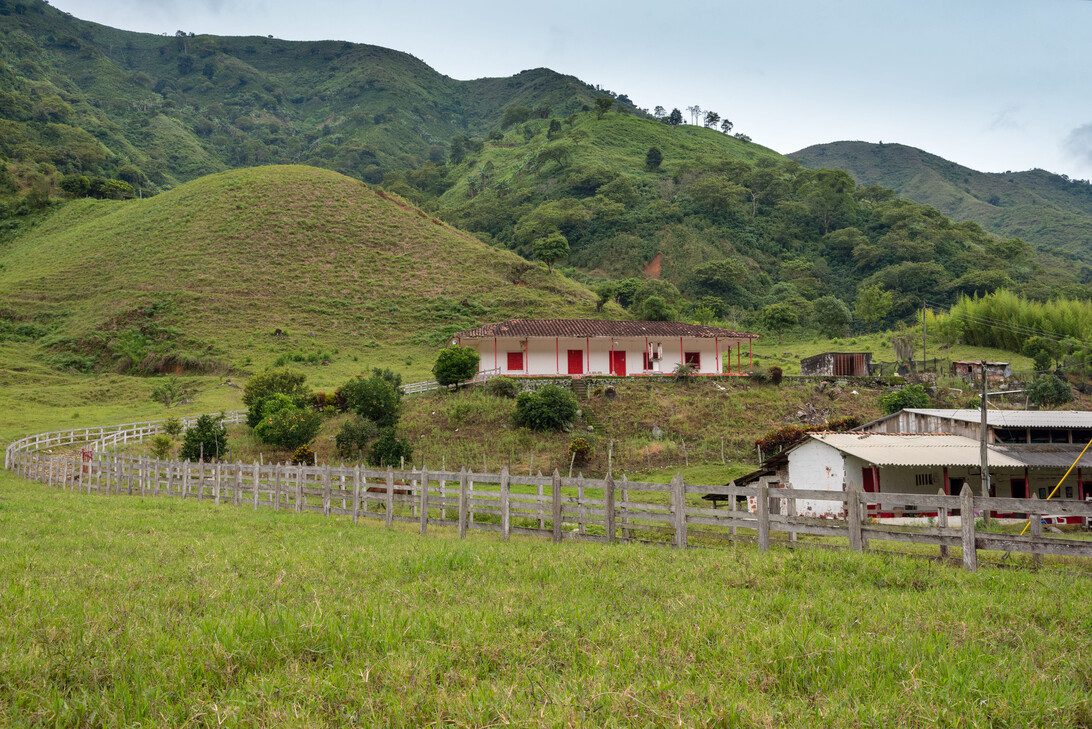 Green hillside pasture with a white building that has red doors, a curling wooden fence, and trees in the foreground.